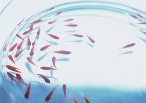 技术入门指南：从零开始学技术